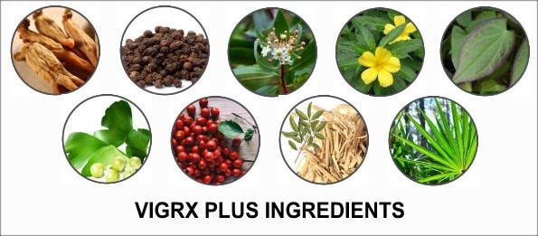 vigrx-plus Ingredients