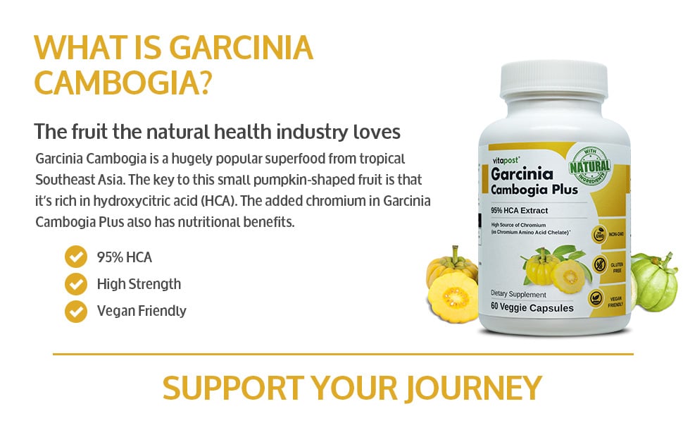 How does Garcinia Cambogia Veda Work?