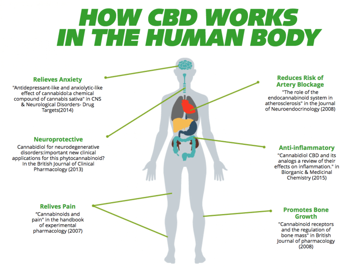 Quel est l'effet de l'huile de CBD sur l'anxiété ?