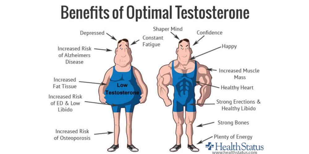 Testosterona Pílulas prós e contras