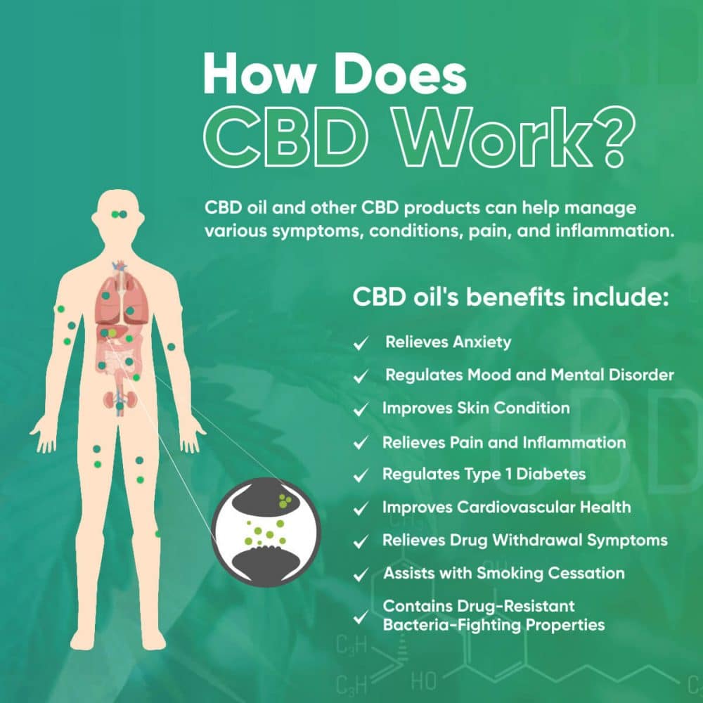 CBD Oil really work, or is it a scam?