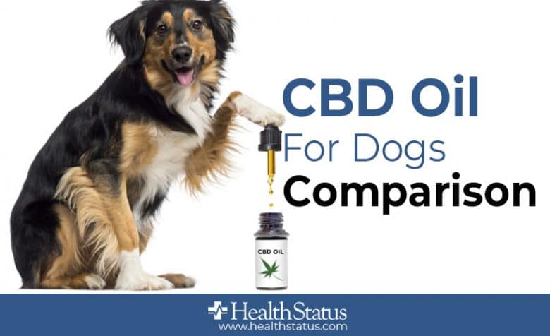 Cbd oil for dogs reviews
