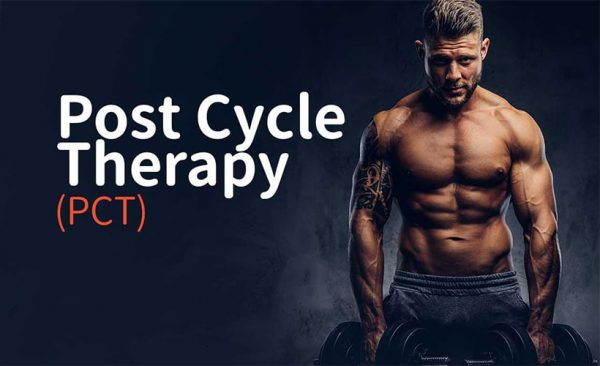 Post Cycle Therapy Guide 2022 - How does PCT work