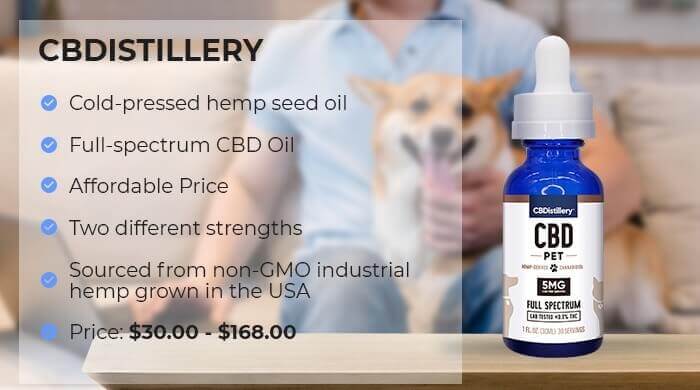 Factors We Used to Pick the Best CBD Oils for Dogs