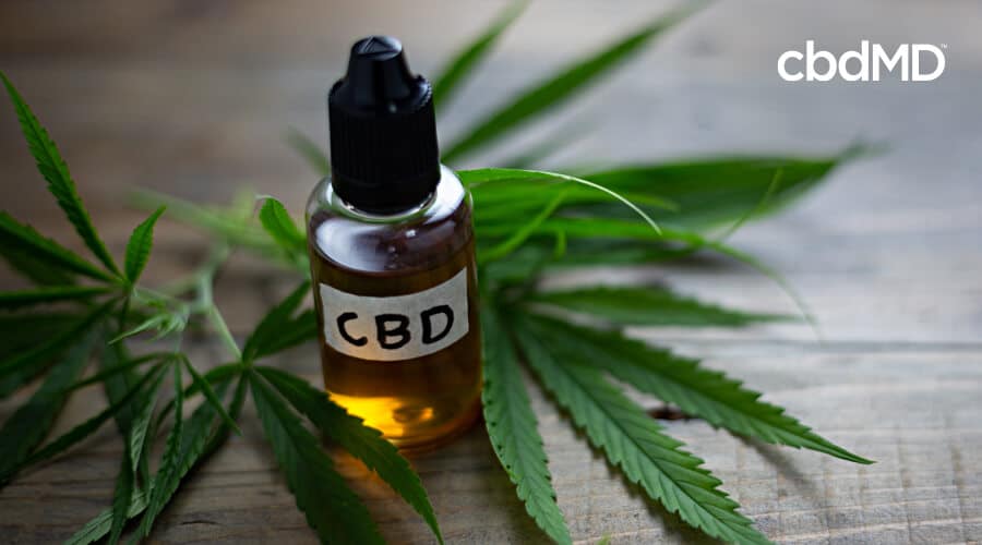 What are the CBD MD ingredients?