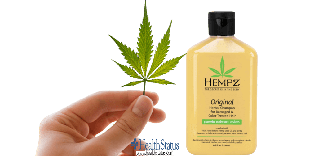 What are CBD Shampoo Ingredients?