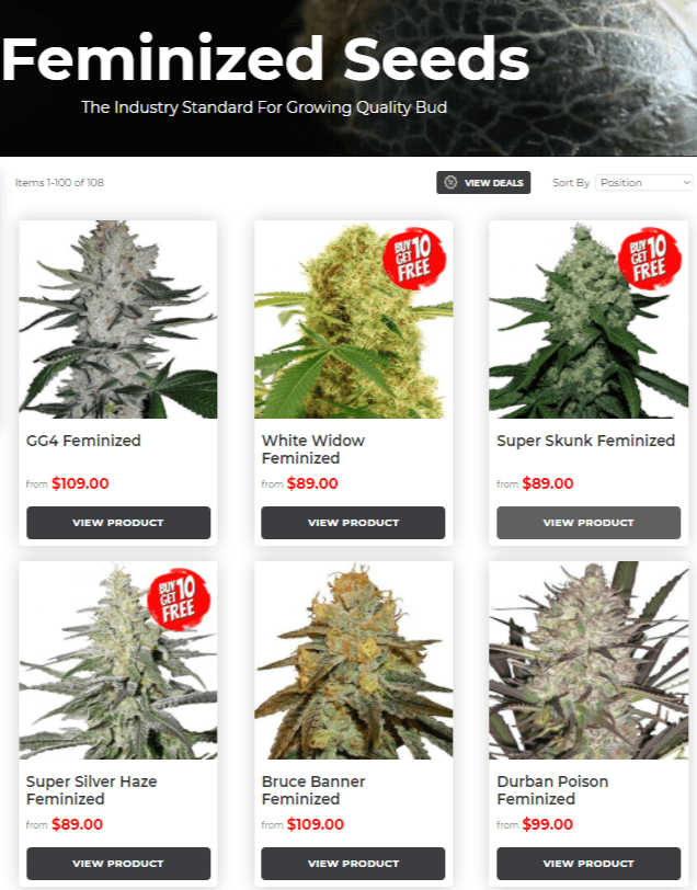 Marijuana Seeds NL