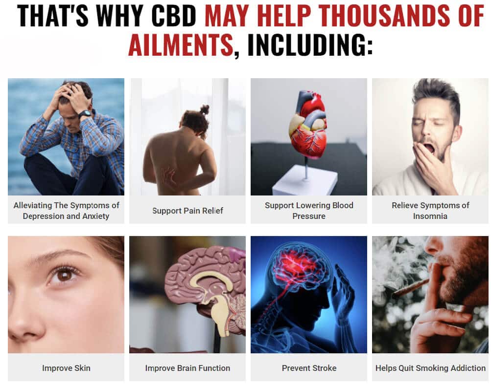 What are the benefits of Clinical CBD Gummies?