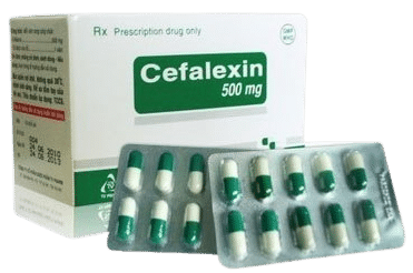 Cephalexin