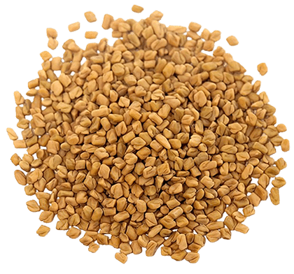 fenugreek