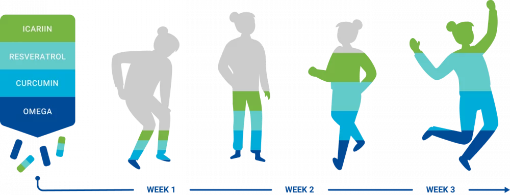 Relief Factor Duration