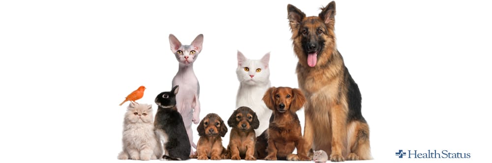 pets group