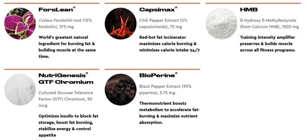 Burn Lab Pro Ingredients