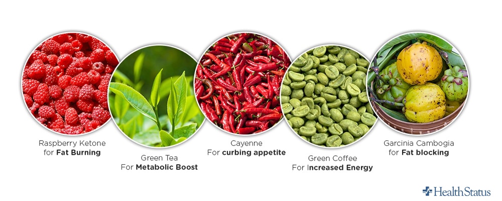 What are the ingredients of Trim Life Keto?