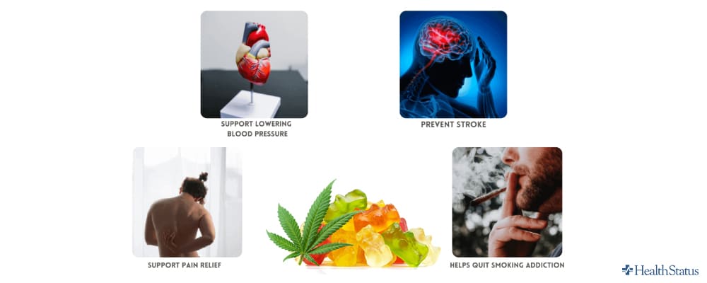 Our Clinical CBD Gummies stop smoking reviews and ratings demonstrate the distinction: Pros and cons of Clinical CBD Gummies:
