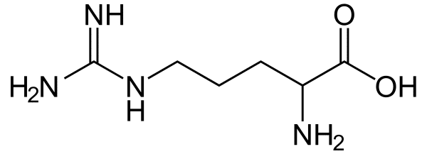 L-arginine