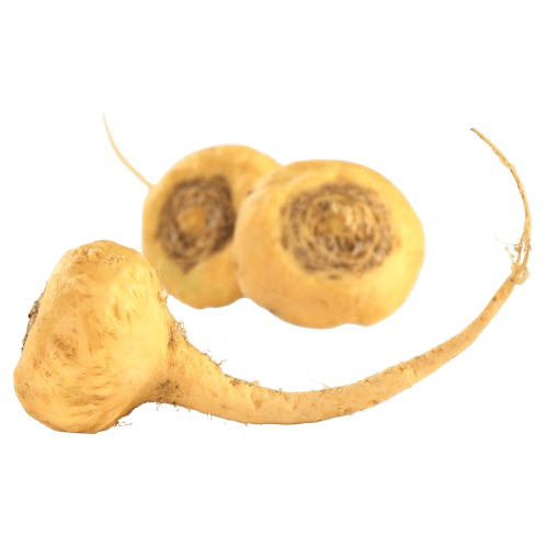 Peruvian Maca