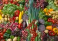 Ways to Incorporate More Vegetables
